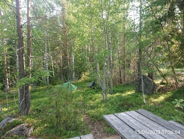 Ein Zelt versteckt im Wald und Fahrrad daneben